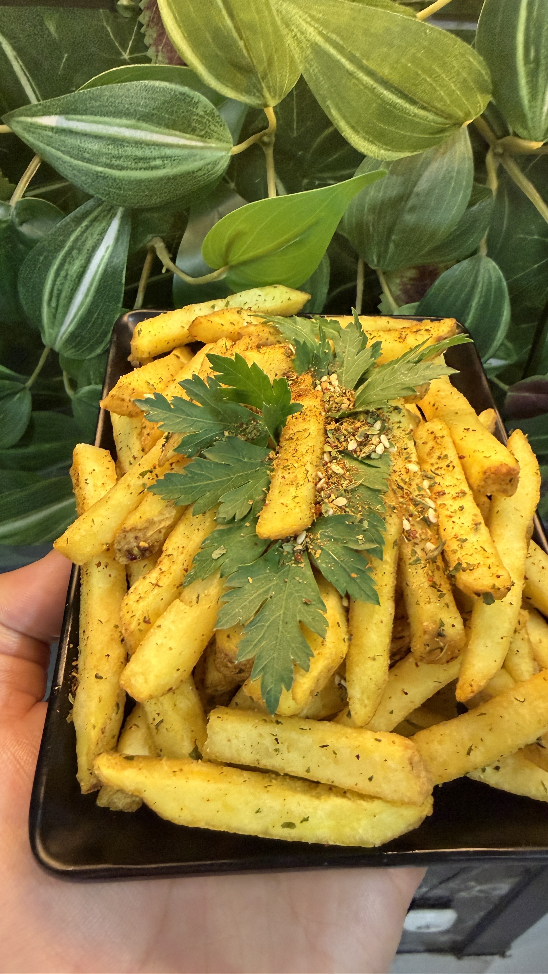 Gewürzte Pommes